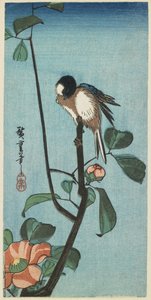 (Cinege a Camelián), 1830-1858