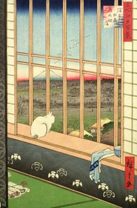Asakusa Rice Fields a kakas fesztiválja alatt a „100 Views of Edo” sorozatból, pub. 1857 (színes fatömbnyomat)
