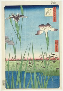 BM.Cat.440 Irises, Horikin, No.56 a „100 Views of Edo” sorozatban, („Meisho Edo hyakkei”), pub. 1857, (színes fatömbnyomat)