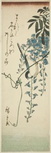 Madár és wisteria alkotó: Utagawa Hiroshige