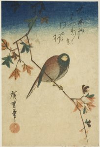 Madár juhar ágon alkotó: Utagawa Hiroshige