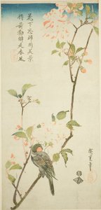 Süvöltő arónia ágon alkotó: Utagawa Hiroshige