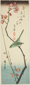 Bokor poszáta szilvaágon alkotó: Utagawa Hiroshige
