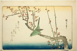 Bokor poszáta szilvaágon alkotó: Utagawa Hiroshige