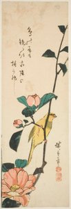 Kanári és kamélia alkotó: Utagawa Hiroshige