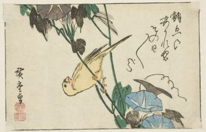 Kanári és hajnali fények alkotó: Utagawa Hiroshige