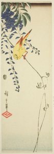 Kanári és Wisteria alkotó: Utagawa Hiroshige