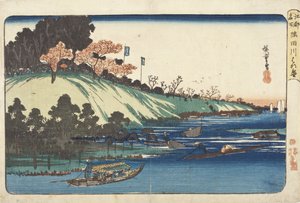 Teljes virágzásban lévő cseresznyefák a Szumida folyó mentén alkotó: Utagawa Hiroshige