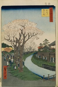 Cseresznyevirágok a Tama folyó partján Edo száz híres kilátása, 1856-1858 alkotó: Utagawa Hiroshige