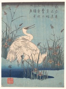 Kócsag íriszek és füvek között alkotó: Utagawa Hiroshige