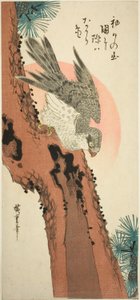 Sólyom a fenyőfán a felkelő nappal alkotó: Utagawa Hiroshige