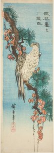 Sólyom borostyánnal borított fenyőágon alkotó: Utagawa Hiroshige