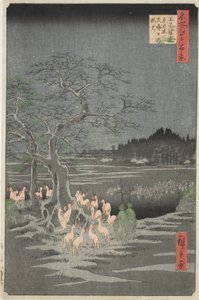 Rókatüzek szilveszter éjszakáján a Változó fánál Oji-ban (Oji shozoku enoki omisoka no kitsunebi), a "Száz híres nézet Edo-ról (Meisho Edo hyakkei)" sorozatból. alkotó: Utagawa Hiroshige