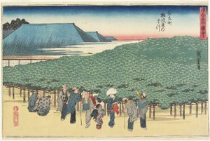 Gian t Pine of f Naniwayain Anryu_-Machi, c. 1834
