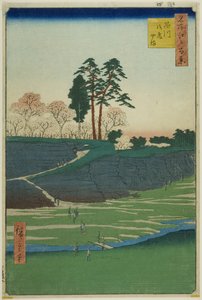 Goten-hegy Shinagawában (Shinagawa Gotenyama), a "Száz híres nézet Edóról (Meisho Edo hyakkei) "v sorozatból. alkotó: Utagawa Hiroshige