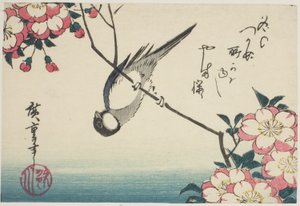 Széncinege a cseresznyevirág ágán alkotó: Utagawa Hiroshige