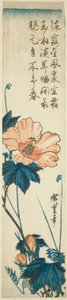 Hibiszkusz alkotó: Utagawa Hiroshige