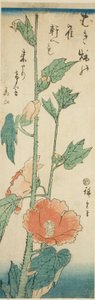 Hibiszkusz alkotó: Utagawa Hiroshige