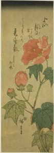 Hibiszkusz alkotó: Utagawa Hiroshige