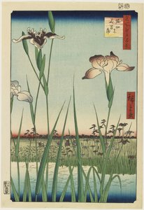 Horikiri íriszkertje, 1857. május