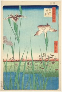 Irase s at Horikiri (Horikiri no Hanadokorobe), a ``Ridge d re d f s Views of Edo (Edo száz híres nézete) című sorozatból. alkotó: Utagawa Hiroshige
