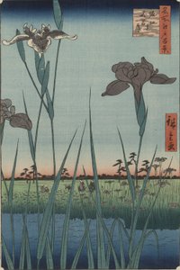 Horikiri íriszek, Edo száz híres képe című sorozatból alkotó: Utagawa Hiroshige