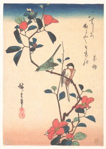 Japán szemüvegmadár és cinege kaméliaágon alkotó: Utagawa Hiroshige