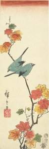 Japán fehér szemek a juharágon, 1854