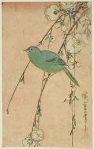 Japán fehérszemű és síró cseresznye alkotó: Utagawa Hiroshige
