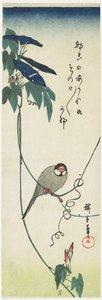 Java Sparrow and Morning Glories, 1834-1839