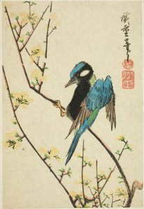 Java veréb cseresznye ágon alkotó: Utagawa Hiroshige