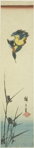 Jégmadár és nád alkotó: Utagawa Hiroshige
