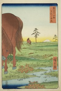 Az Ogane P kiváló tagja Gesasa P Rovinse (Shimosa Koganehara), a Te sorozatból: "Ti rty Mr. x Vie ws Of mo t Fuji (Fuji Usaju Rokukatsu)" alkotó: Utagawa Hiroshige