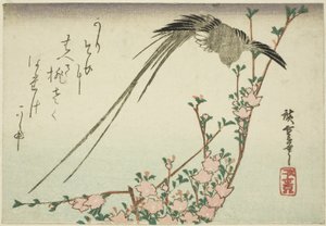 Hosszú farkú madár és őszibarack virágok alkotó: Utagawa Hiroshige