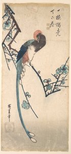 Hosszú farkú madár alkotó: Utagawa Hiroshige