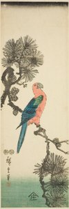 Ara fenyő ágon alkotó: Utagawa Hiroshige