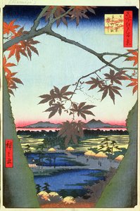Maple Trees at Mam, Tekona Shrine and Linked Bridge, 94. tábla az Edo száz nézete sorozatból, Edo-korszak, Ansei Era, 1857 (fatömbnyomat) alkotó: Utagawa Hiroshige