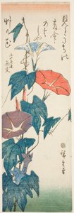 Morning Glories alkotó: Utagawa Hiroshige