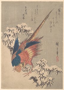 Fácán hóterhes bambuszok között egy hegyoldalon alkotó: Utagawa Hiroshige