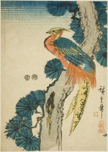 Fácán és fenyőfa alkotó: Utagawa Hiroshige
