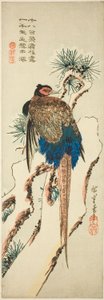Fácán egy hóval borított fenyőfán alkotó: Utagawa Hiroshige