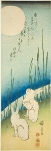 Nyulak telihold alatt alkotó: Utagawa Hiroshige