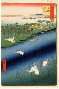 Sakasai komp, 67-es tábla Edo száz híres képe sorozatból, Edo-korszak, Ansei-korszak, 1857 (fatömbnyomat) alkotó: Utagawa Hiroshige