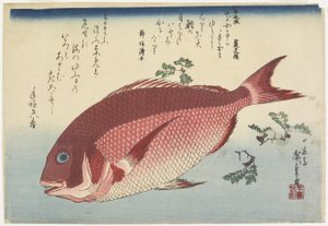 Tengeri keszeg és Sansho_Sprigs, c. 1832