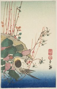 Sparrow egy függő ültetvényen alkotó: Utagawa Hiroshige