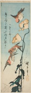Veréb és mák alkotó: Utagawa Hiroshige