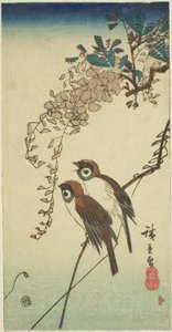 Verebek és wisteria alkotó: Utagawa Hiroshige