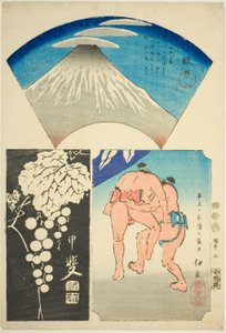 Suruga, Kai és Izu, nem. 5 a "Kivágott képek a tartományokból (Kunizukushi harimaze zue)" sorozatból alkotó: Utagawa Hiroshige