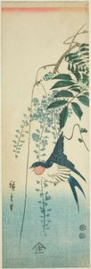 Fecske és wisteria alkotó: Utagawa Hiroshige