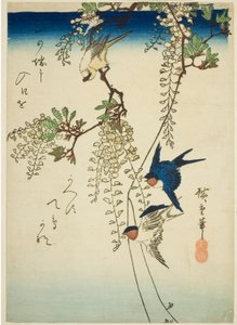 Fecske, sárga madár és wisteria alkotó: Utagawa Hiroshige